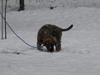 2009_02_08 bella_010